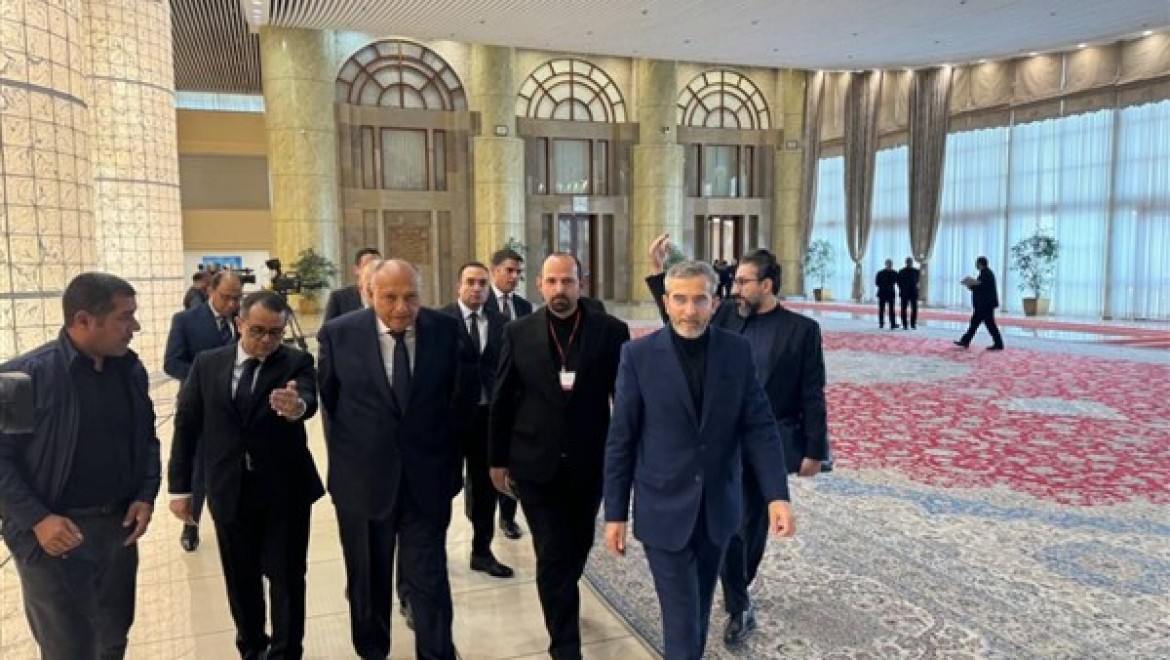 Mısır Dışişleri Bakanı Şukri, Tahran'da