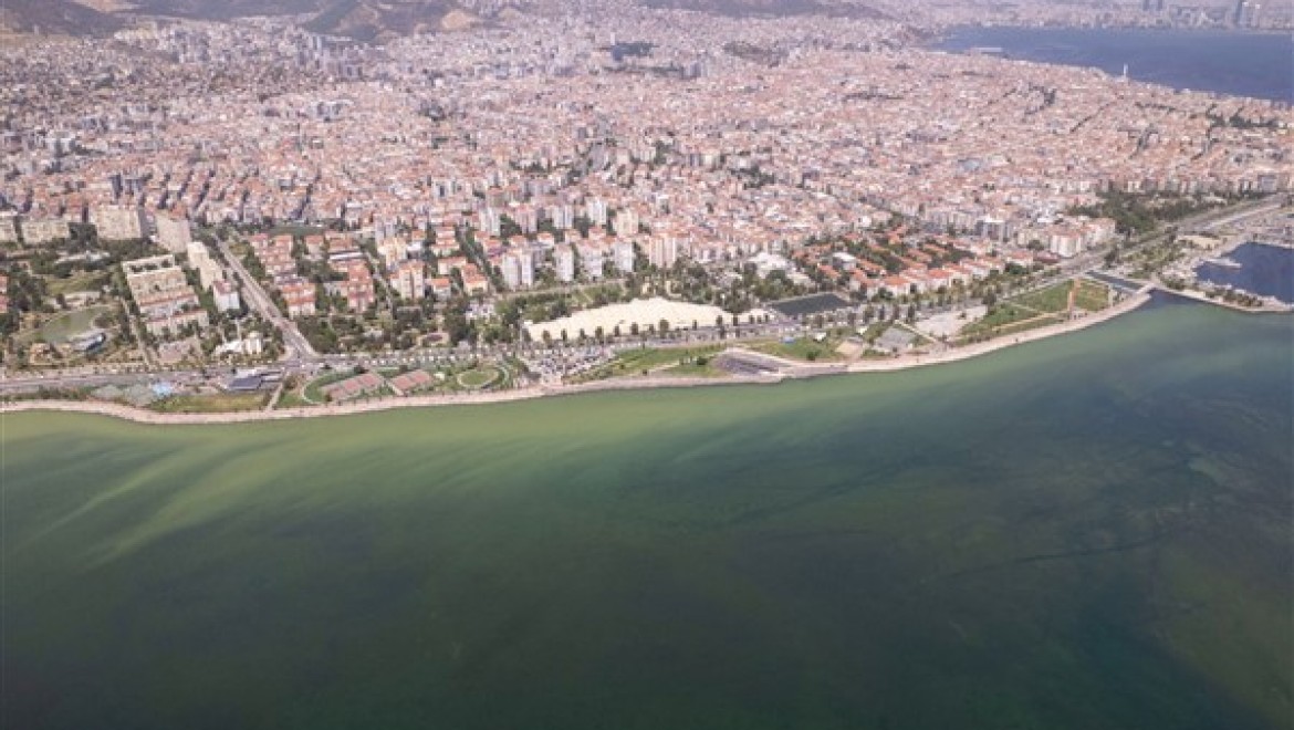 Sıcak havalar, İzmir Körfezi'nde plankton patlamalarına neden oldu
