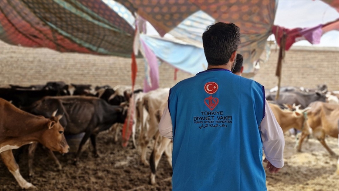 TDV, Afganistan'da 13 bin 300 hisse kurban eti dağıtacak