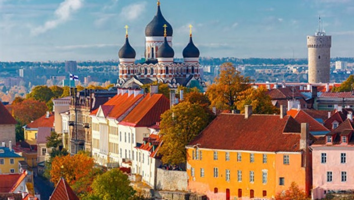 Estonya'da 7 günlük eğitim kursu fırsatı