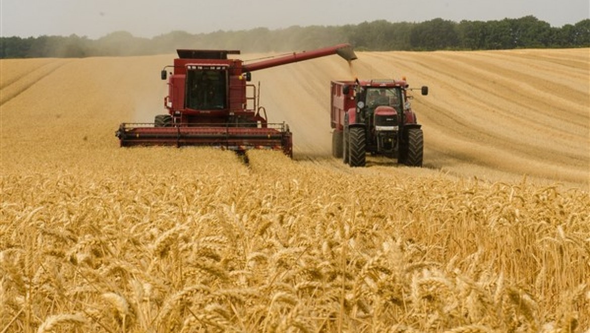 Tarımsal girdi fiyatları Şubat'ta aylık yüzde 3,59 ve yıllık yüzde 49,92 arttı