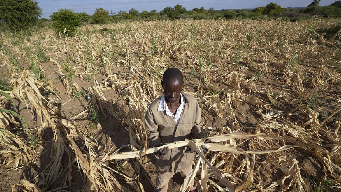 Çin'den Afrika ülkelerine acil gıda yardımı