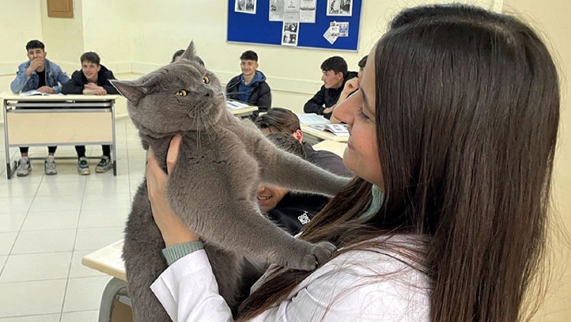 Matematik öğretmeninin kedisi "Başkan"ı lise öğrencileri çok sevdi