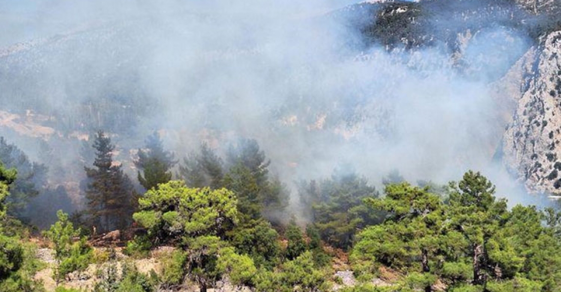 Antalya'nın Kaş ilçesinde orman yangını çıktı