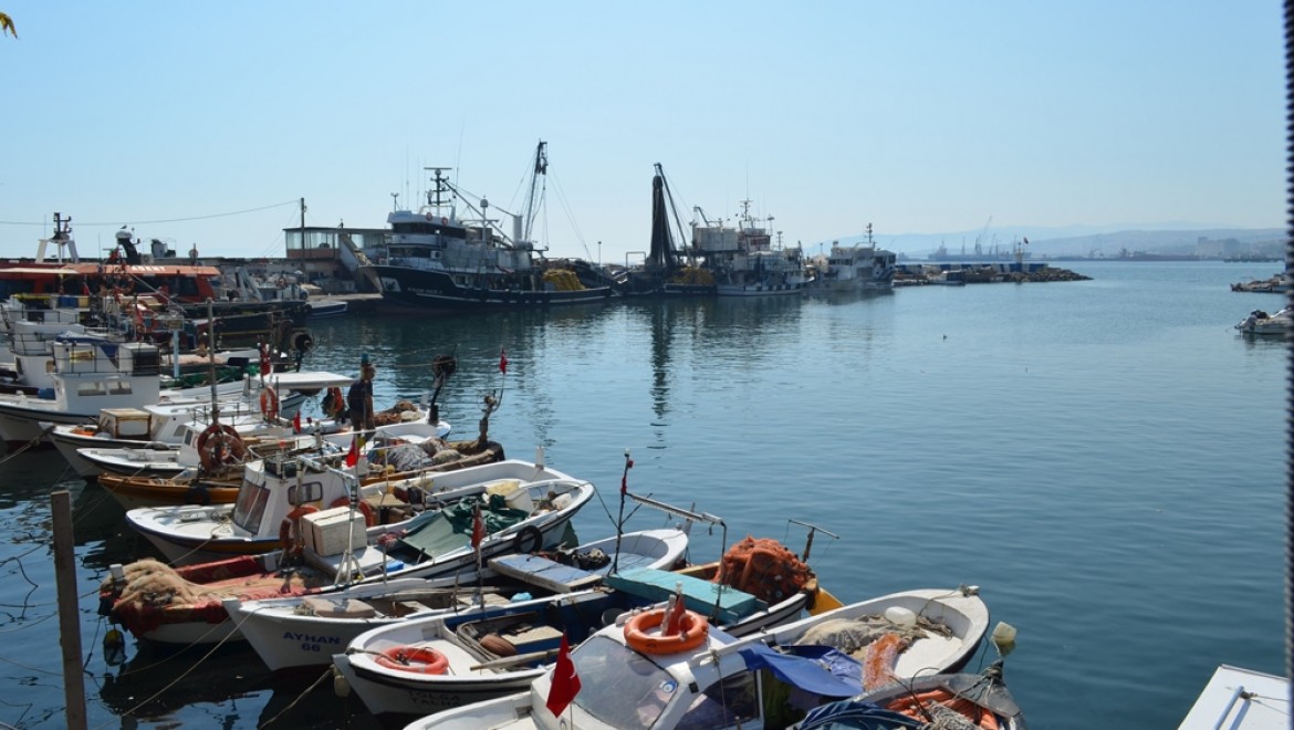 Tekirdağlı balıkçıların umudu 'Çinekop'