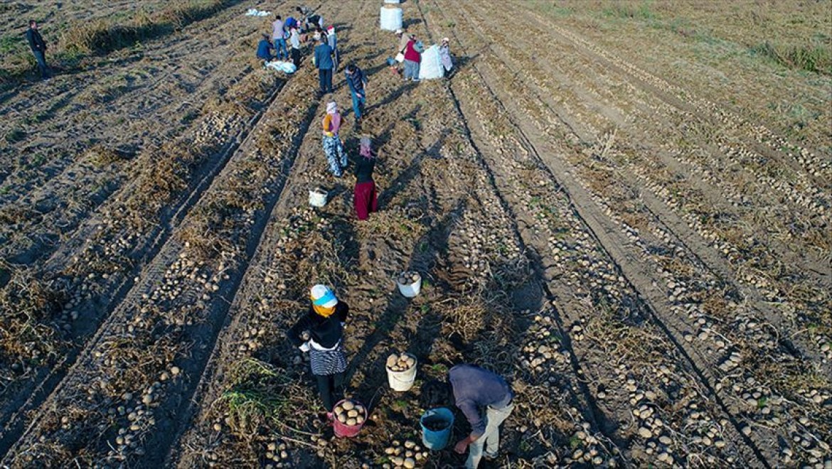 Mevsimlik tarım işçileri için "Kovid-19" tedbiri