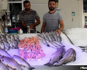 Sinop'ta balıkçılar sezonun ilk avından boş döndü