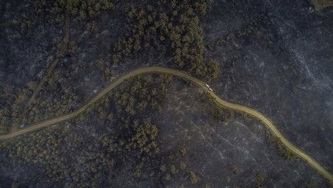 "Tarihi Gelibolu Yarımadası'ndaki orman yangını kontrol altına alındı"