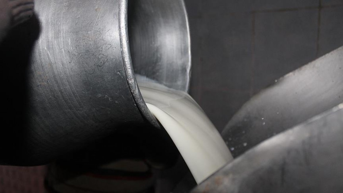 Pakdemirli'den Süt Üreticilerine Müjde