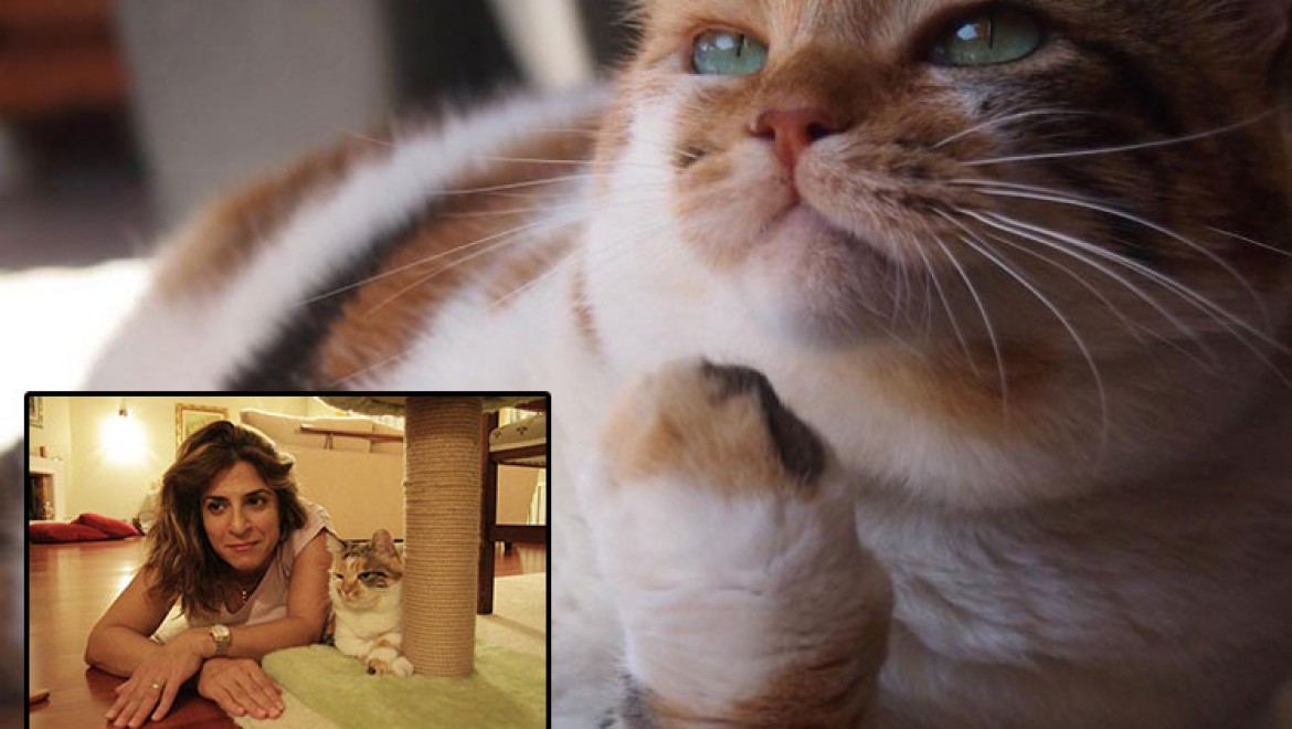 Ekranların sevilen kedisi Zümrüt Şaziye, ihtiyaç sahiplerine el uzatmaya devam ediyor