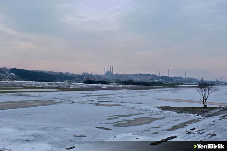 Edirne'de soğuk hava nedeniyle nehir kenarındaki tarlalar buz tuttu
