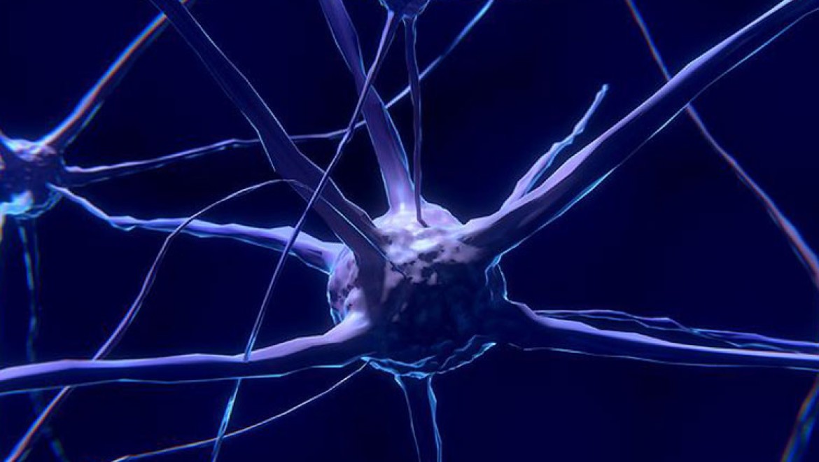 ABD'li bilim insanları canlı beyin hücresi modeli oluşturdu