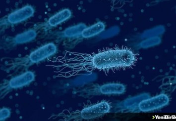 Bilim insanları, yapay zekayla süper bakteriye karşı yeni antibiyotik geliştirdi
