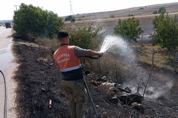 Edirne'de bir tarlada başlayıp meyve bahçesine sıçrayan anız yangını söndürüldü