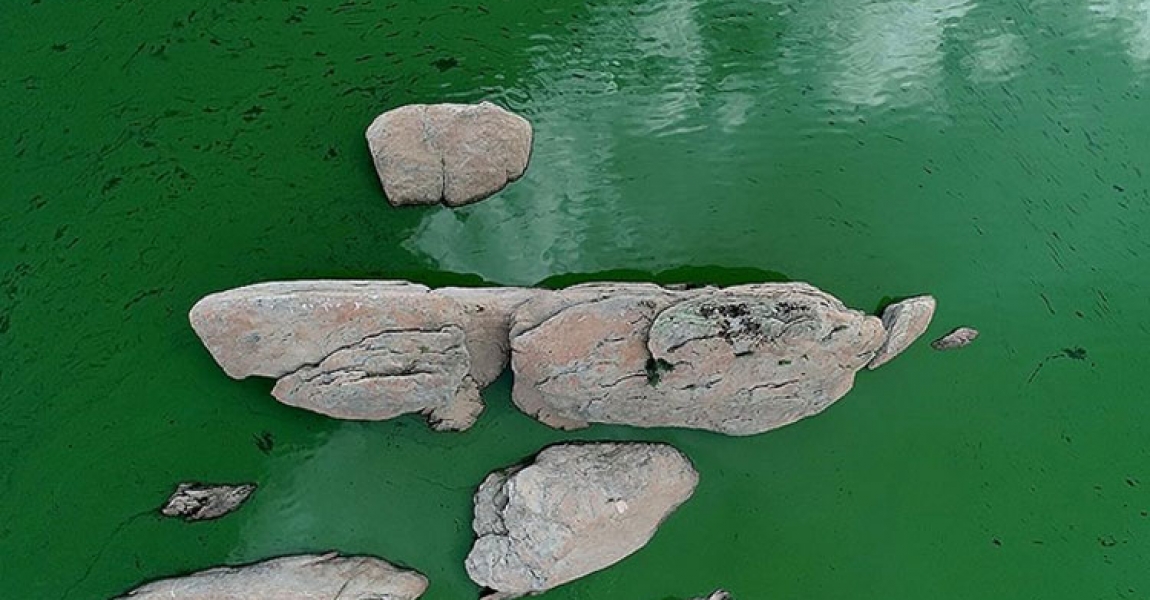 Yağışlar Kırklareli'ndeki barajlarda su seviyesini yükseltti