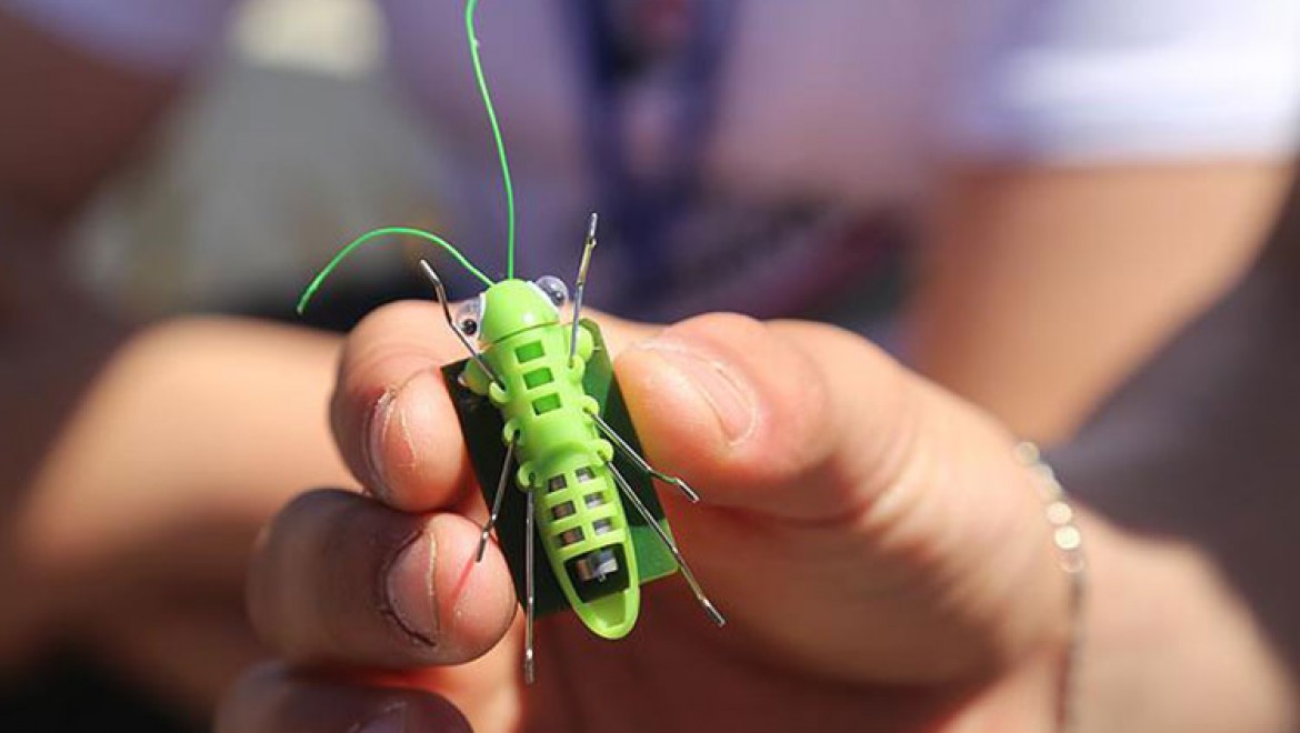 'Robot Cırcır Böceği' İle Alternatif Enerjinin Önemini Anlatıyorlar
