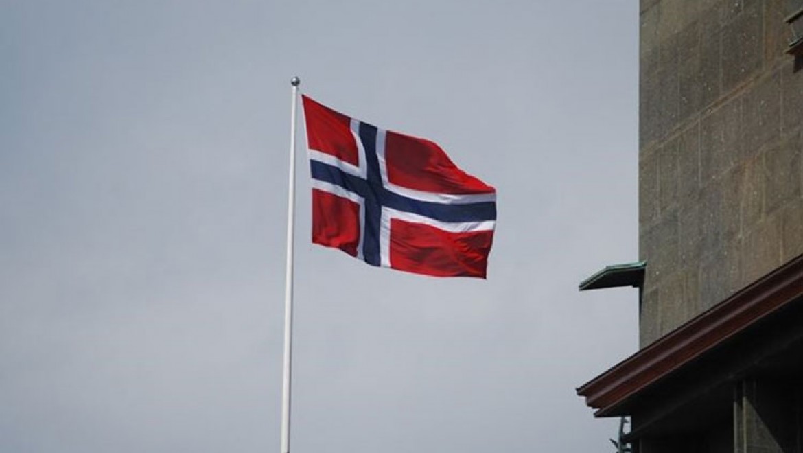 Norveç'te 'haksız' uygulamalarla çocukları ellerinden alınan aileler mağdur ediliyor