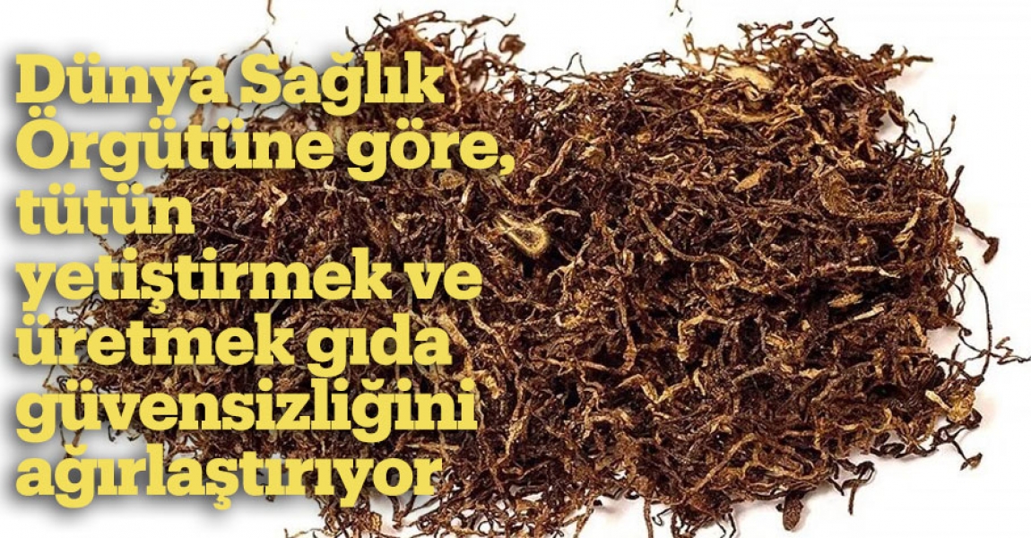 Dünya Sağlık Örgütüne göre, tütün yetiştirmek ve üretmek gıda güvensizliğini ağırlaştırıyor
