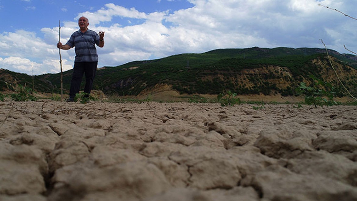 Kuraklık Bingöl'deki su kaynaklarını olumsuz etkiliyor