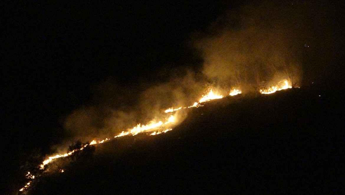 Trabzon'un Akyazı mahallesinde örtü yangını