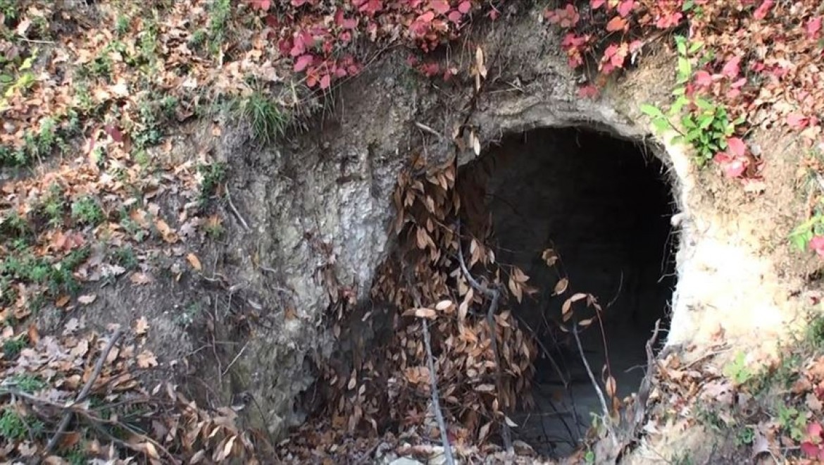 Bartın'da 20 metrelik 'define tüneli' bulundu