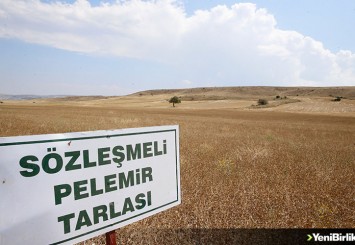 Anadolu topraklarından jet yakıtı fışkırıyor