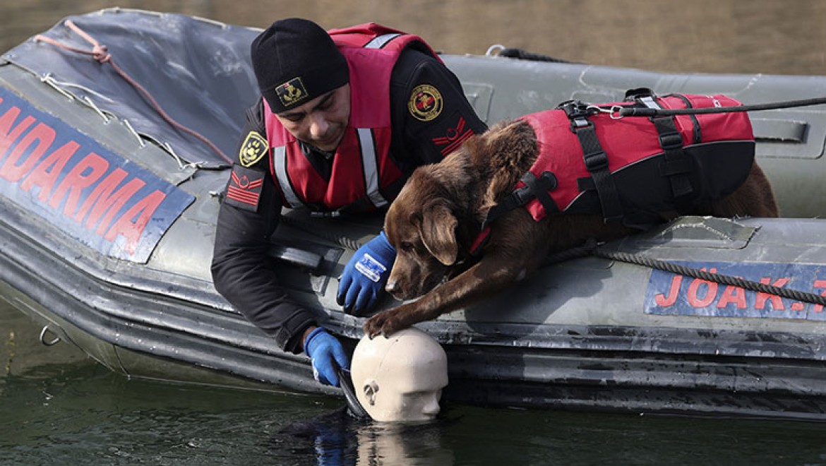 Jandarmanın su altı arama köpekleri, derindeki kayıp cesetlerin yerini tespit ediyor