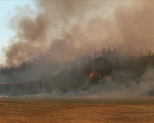 Adana Aladağ'daki orman yangını iki ilçeye sıçradı