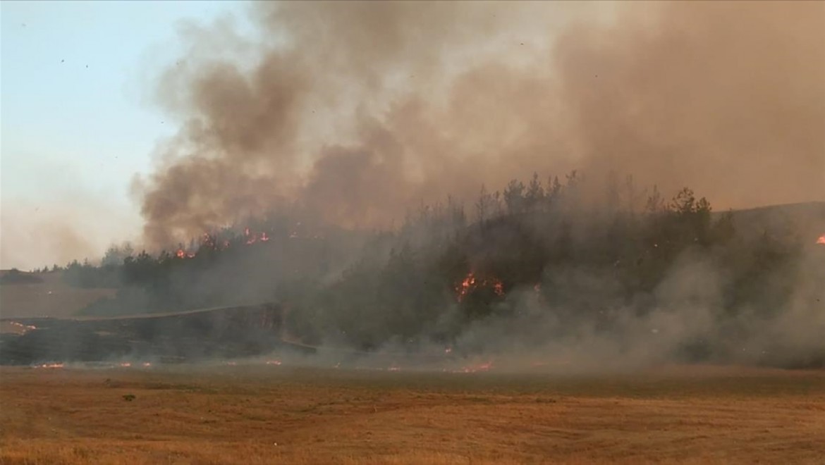 Adana Aladağ'daki orman yangını iki ilçeye sıçradı