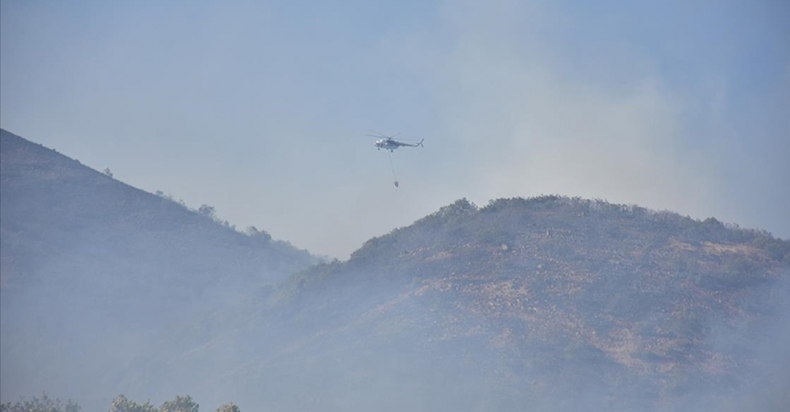 Bingöl'deki orman yangınına havadan ve karadan müdahale sürüyor