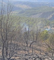 Adıyaman'da çıkan orman yangınına müdahale ediliyor