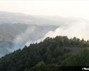 Tokat'taki orman yangını kontrol altına alındı