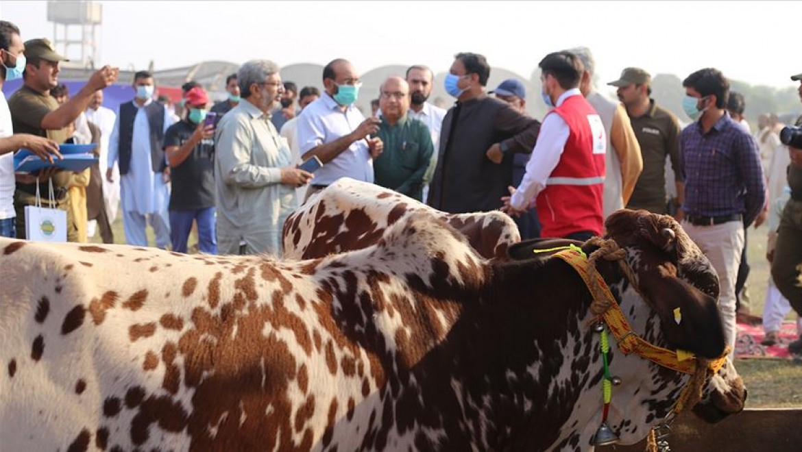 Türk Kızılaydan Pakistan'daki çiftçilerin kalkınmasına destek