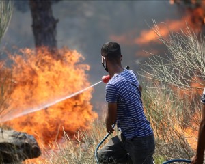 Mersin Silifke'deki orman yangınına müdahaleye vatandaşlar da destek veriyor
