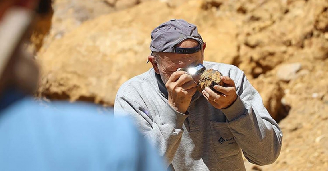 Bilim insanları Bayburt'taki doğal kehribar rezervini inceledi