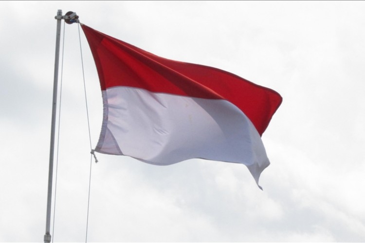Endonezya'nın yeni başkentinin adı 'Nusantara' olacak