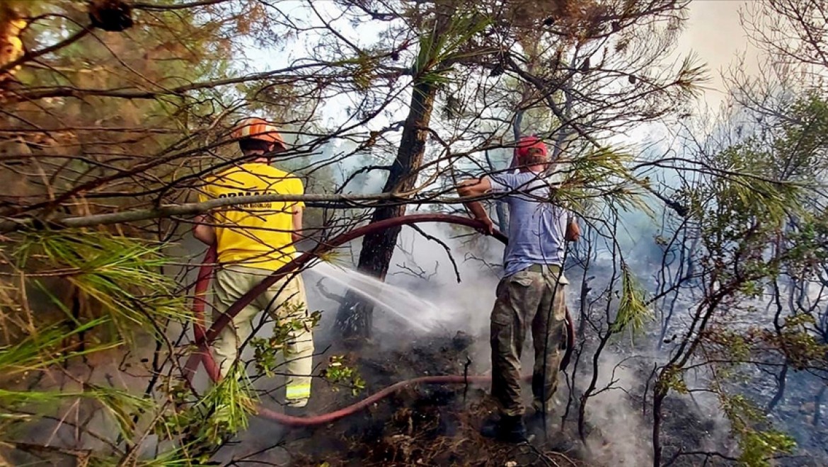 Çanakkale'nin Ezine ilçesinde çıkan orman yangını kontrol altına alındı