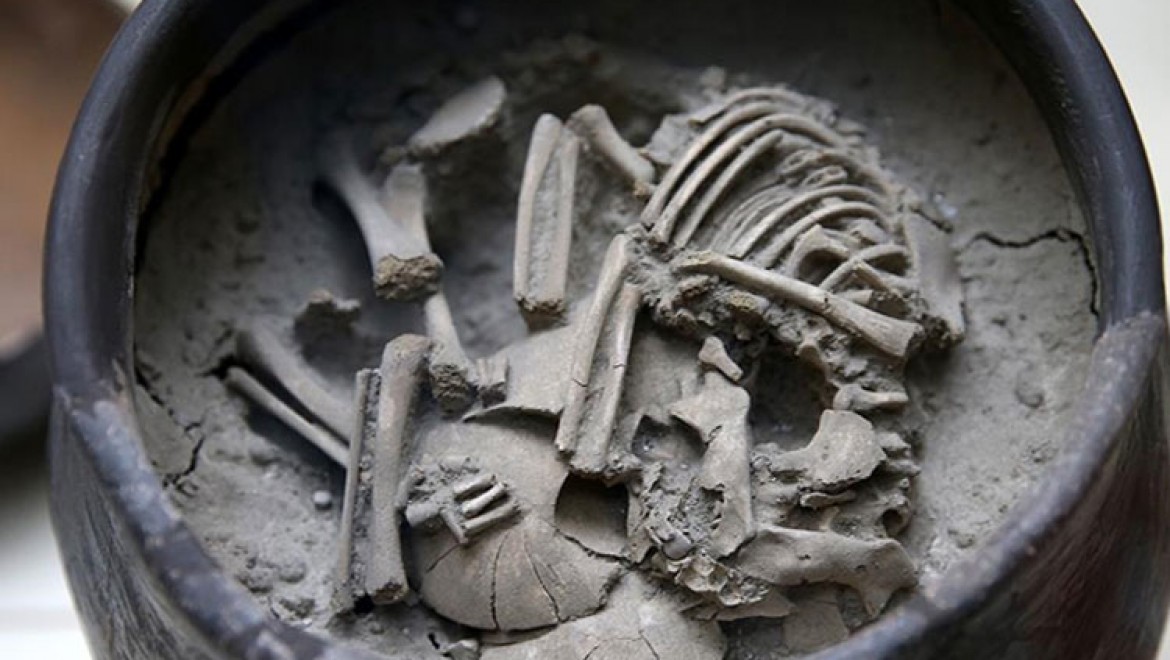 Arslantepe Höyüğü'nden çıkan 5 bin yıllık küp mezar Malatya Müzesinde sergileniyor