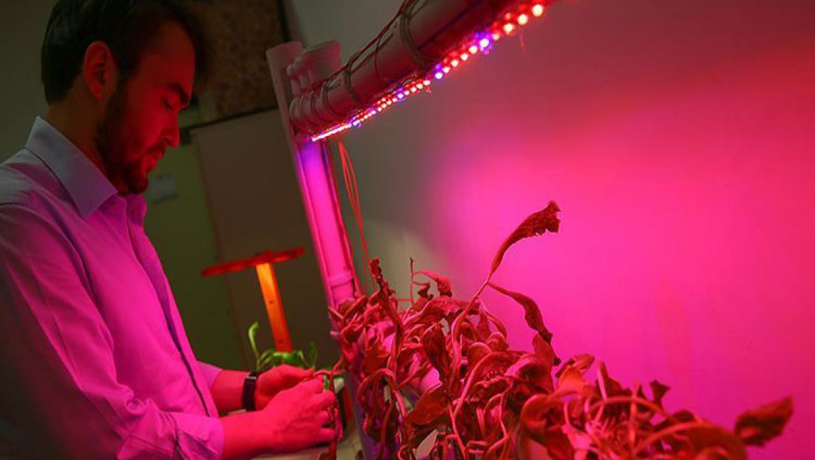 Öğrenciler tarımda LED kullandı verimi artırdı