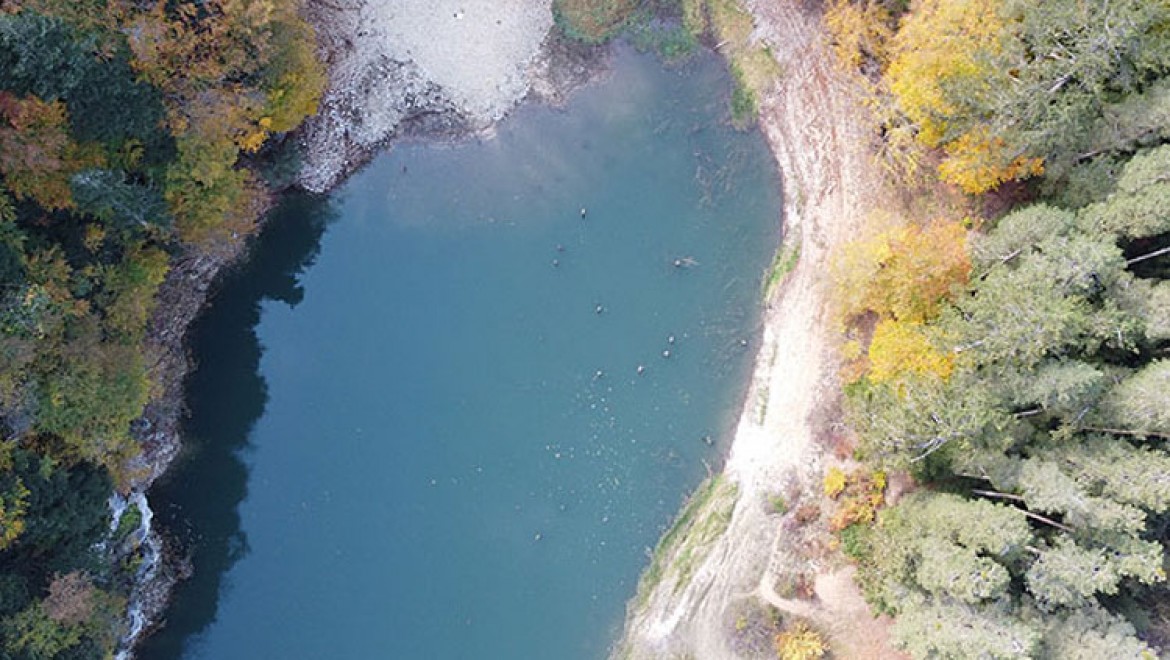 Bolu Sülüklü Göl'de sonbaharın renkleri drone ile görüntülendi