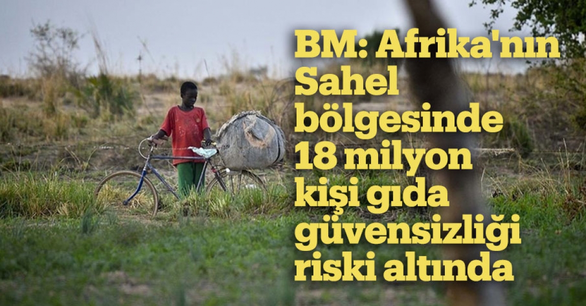 BM: Afrika'nın Sahel bölgesinde 18 milyon kişi gıda güvensizliği riski altında