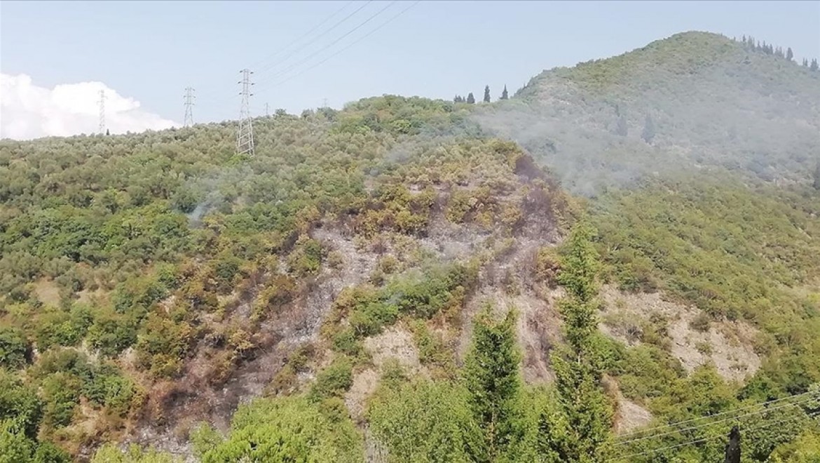 Kocaeli'de ormanlık alanda çıkan yangına müdahale ediliyor