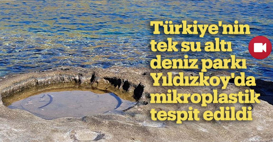 Türkiye'nin tek su altı deniz parkı Yıldızkoy'da mikroplastik tespit edildi