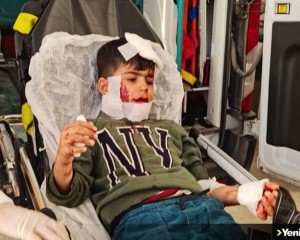 Mardin'de sokak köpeklerinin saldırısına uğrayan çocuk ağır yaralandı