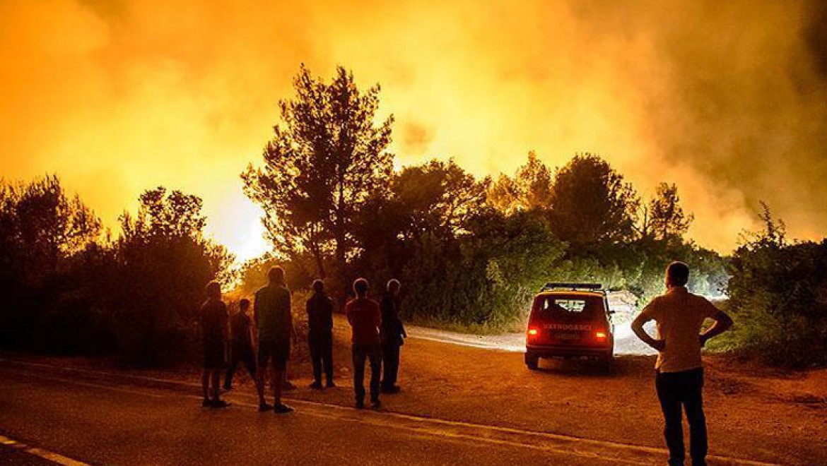 Batı Balkanlar'da orman yangınları