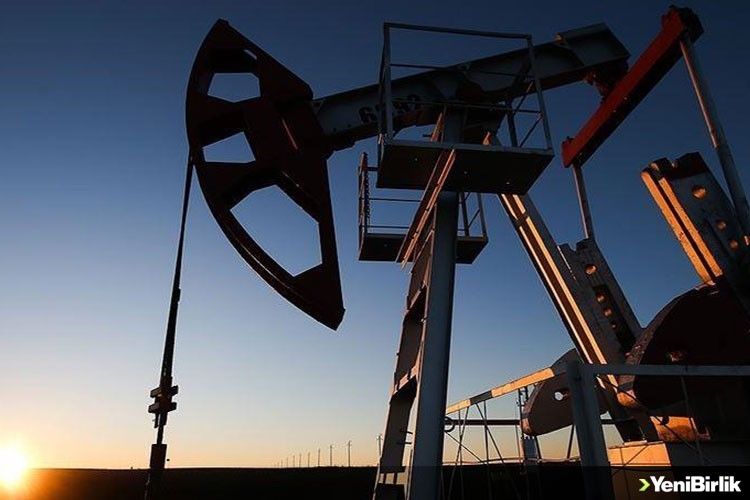 AB'nin ardından G7 ve Avustralya'dan Rus petrolüne tavan fiyat uygulanması