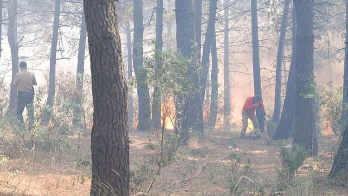 İstanbul'da Aydos Ormanı'ndaki yangın söndürüldü
