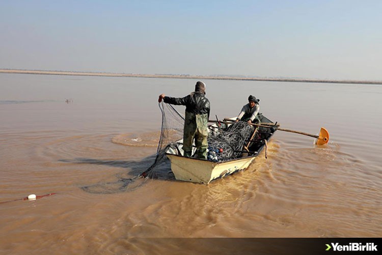 Denize kıyısı bulunmayan Afganistan'da Türkmenler geçimlerini balıkçılıkla sağlıyor