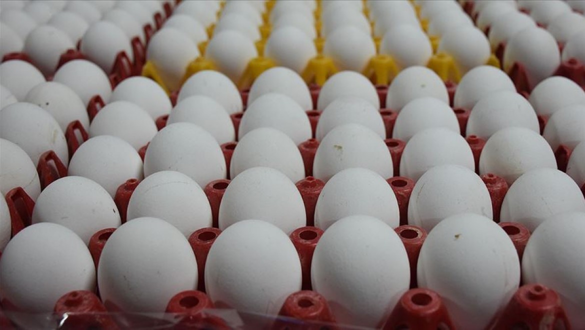 Yumurta üreticileri için bir 'kapı' kapanırken diğerleri açılıyor