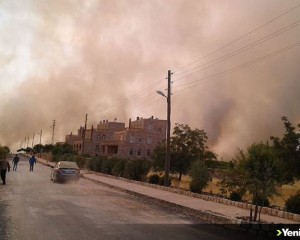 Mardin'de orman yangını